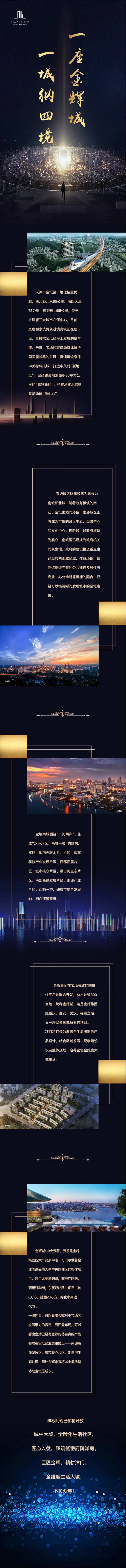 黑金城市繁华地产长图-采灵感-cailinggan.com