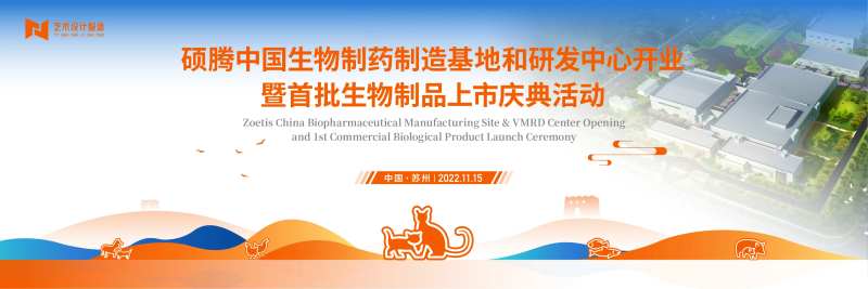 蓝色橙色商业宠物猫咪活动主背景kv-采灵感-cailinggan.com