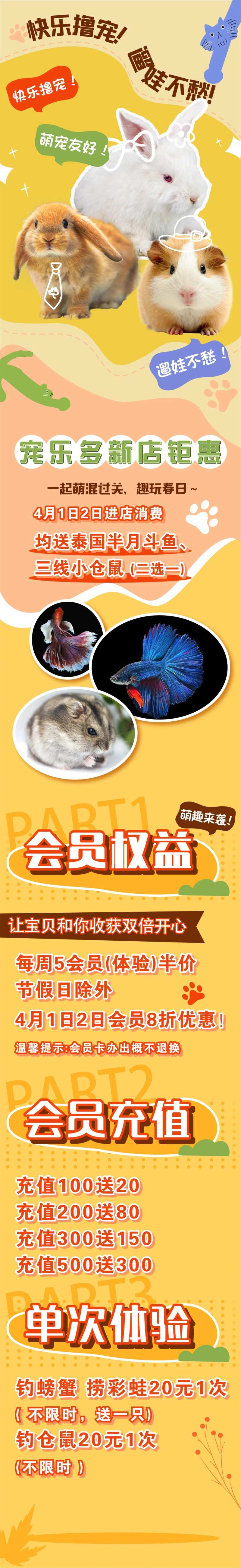 宠物店长图海报-采灵感-cailinggan.com