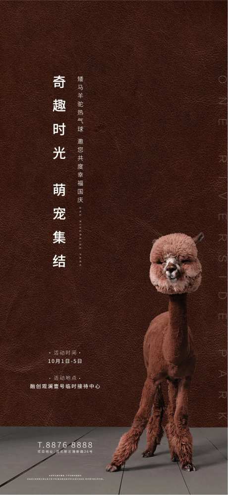 萌宠活动海报-采灵感-https://www.cailinggan.com/