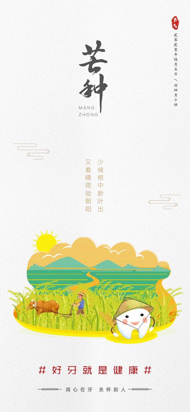 口腔保护芒种节气海报-采灵感-cailinggan.com