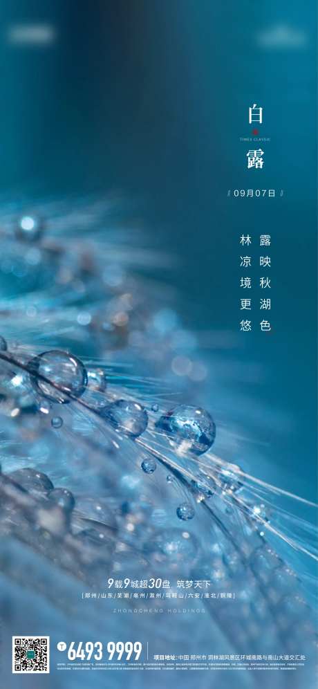 白露节气海报-采灵感-https://www.cailinggan.com/