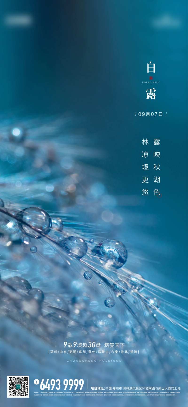白露节气海报-采灵感-cailinggan.com