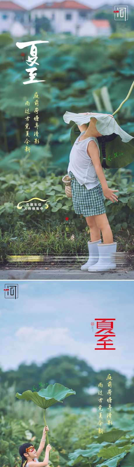 夏至节气系列海报-采灵感-cailinggan.com