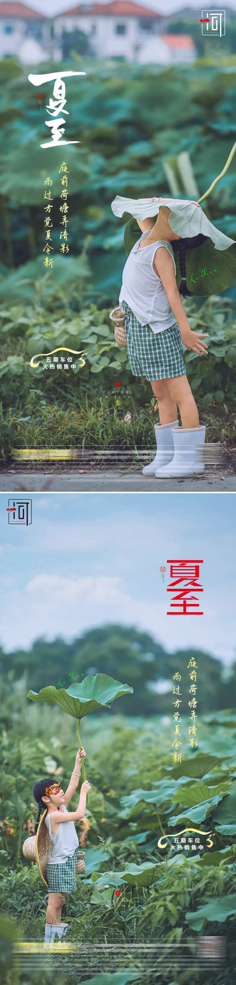 夏至节气系列海报-采灵感-cailinggan.com