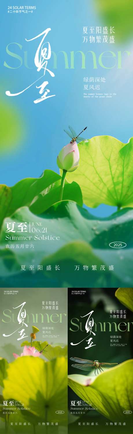 夏至荷叶荷花夏天蜻蜓-采灵感-https://www.cailinggan.com/