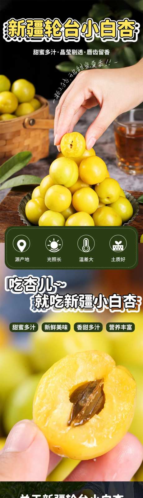 新疆轮台小白杏鲜杏详情页设计-采灵感-https://www.cailinggan.com/