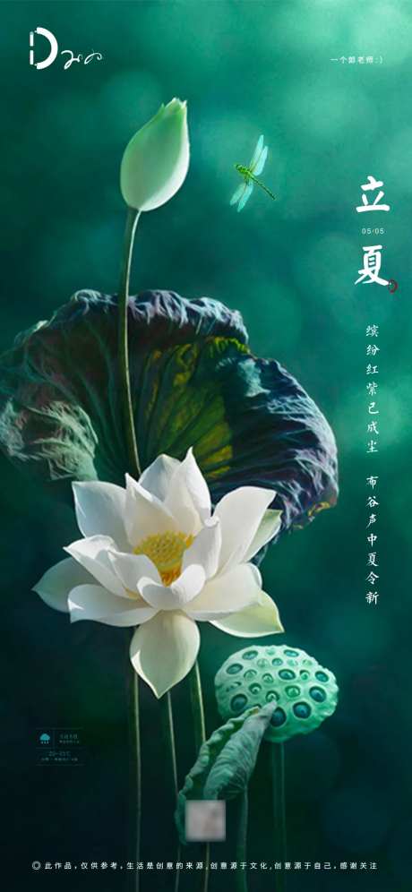 地产立夏节气荷花海报-采灵感-https://www.cailinggan.com/