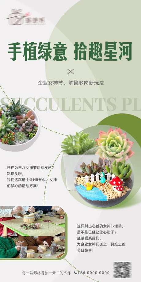 多肉植物节日沙龙团建活动海报-采灵感-https://www.cailinggan.com/