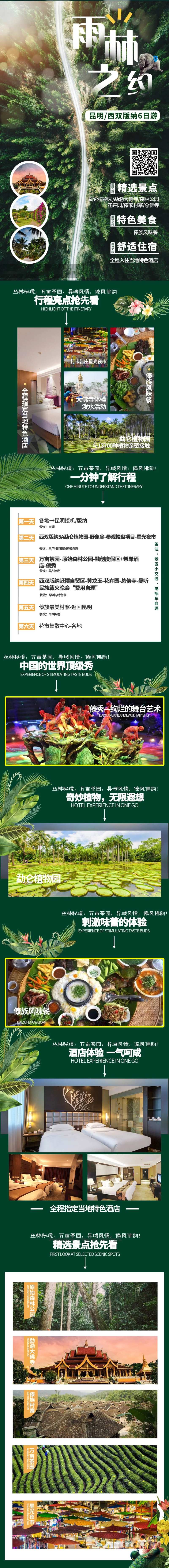 雨林之约旅游海报-采灵感-cailinggan.com