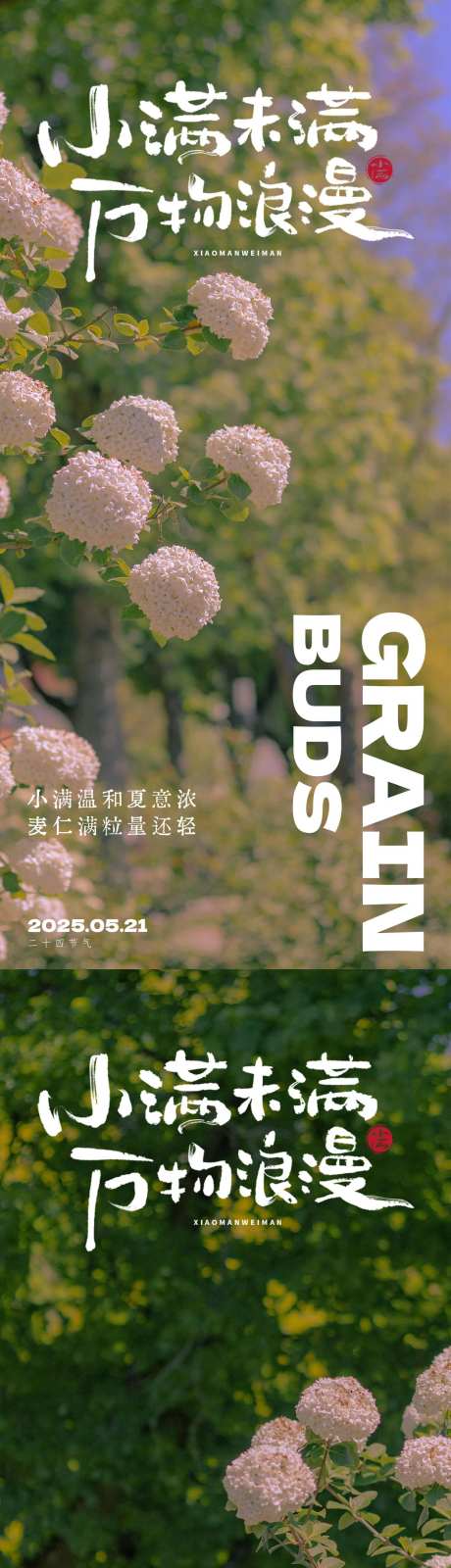 小满节气海报521浪漫海报-采灵感-https://www.cailinggan.com/