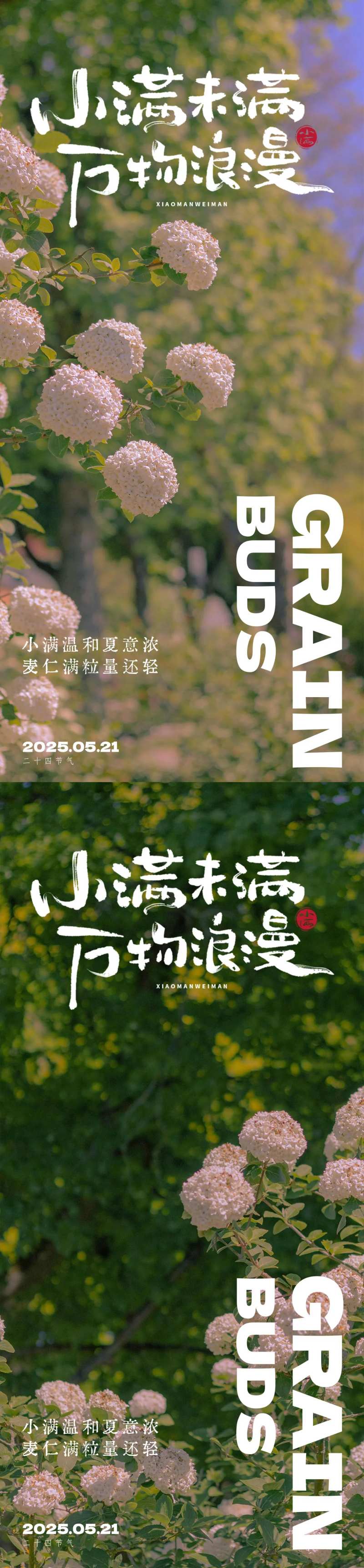 小满节气海报521浪漫海报-采灵感-cailinggan.com