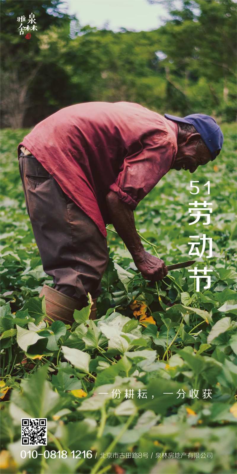 51劳动节农民劳作地产海报-采灵感-cailinggan.com