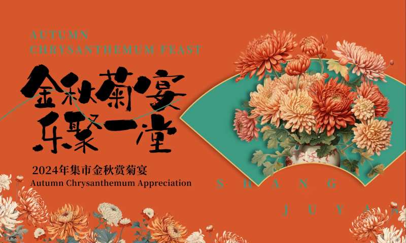 赏菊主画面-采灵感-cailinggan.com