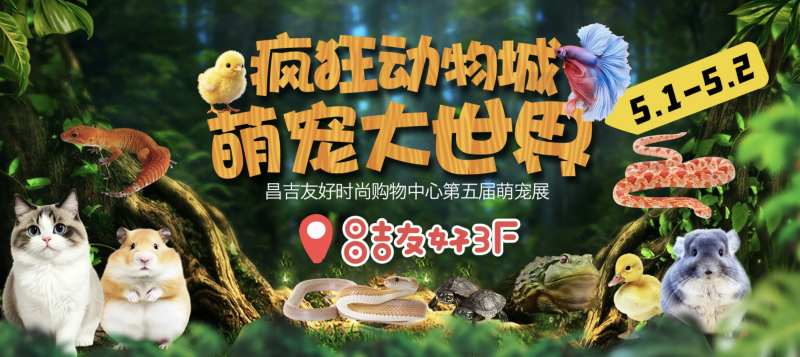 萌宠展背景-采灵感-cailinggan.com