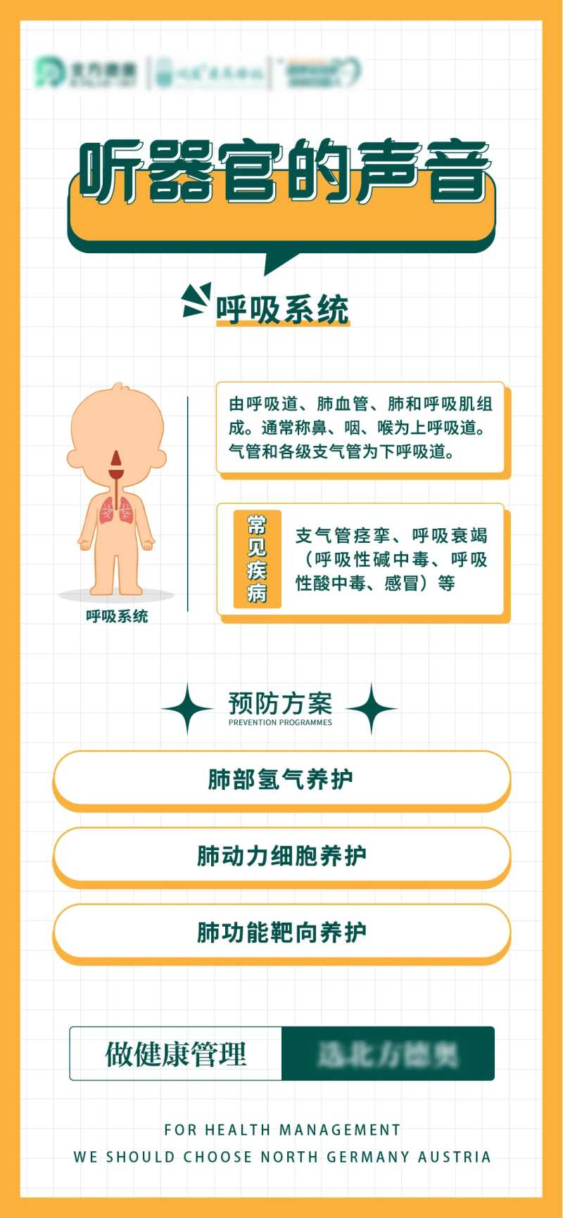 听器官的声音-采灵感-cailinggan.com