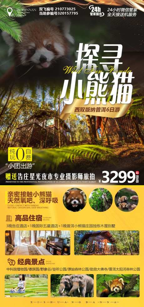 探寻小熊猫旅游海报-采灵感-https://www.cailinggan.com/