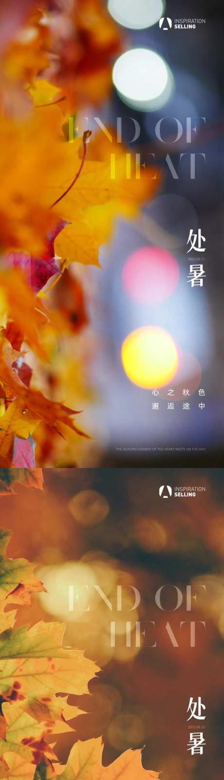 地产处暑节气海报-采灵感-cailinggan.com