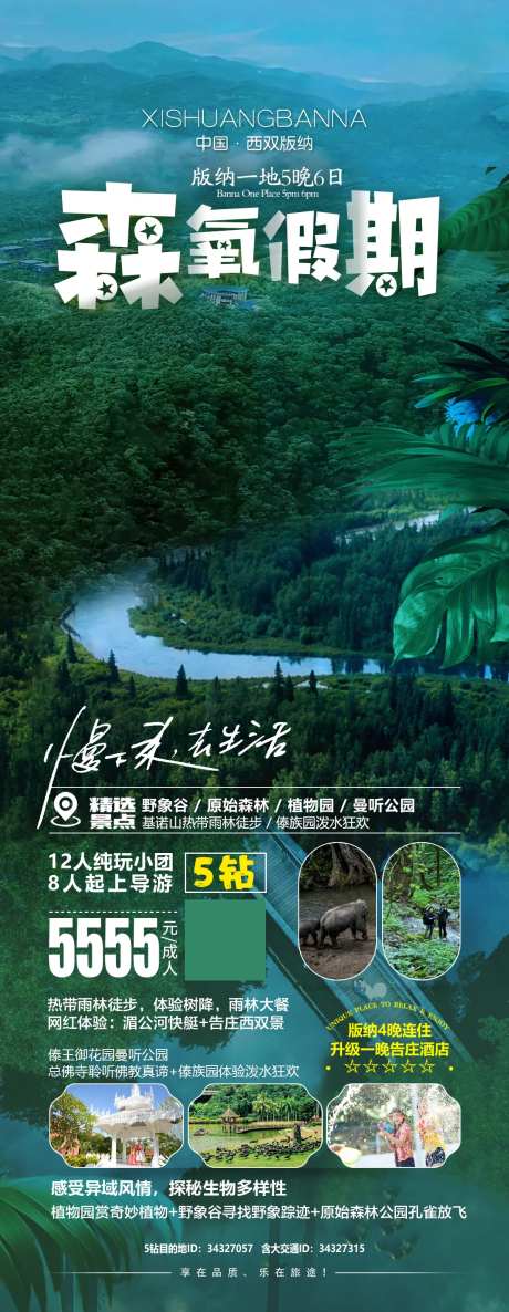 森氧假期版纳旅游海报-采灵感-https://www.cailinggan.com/