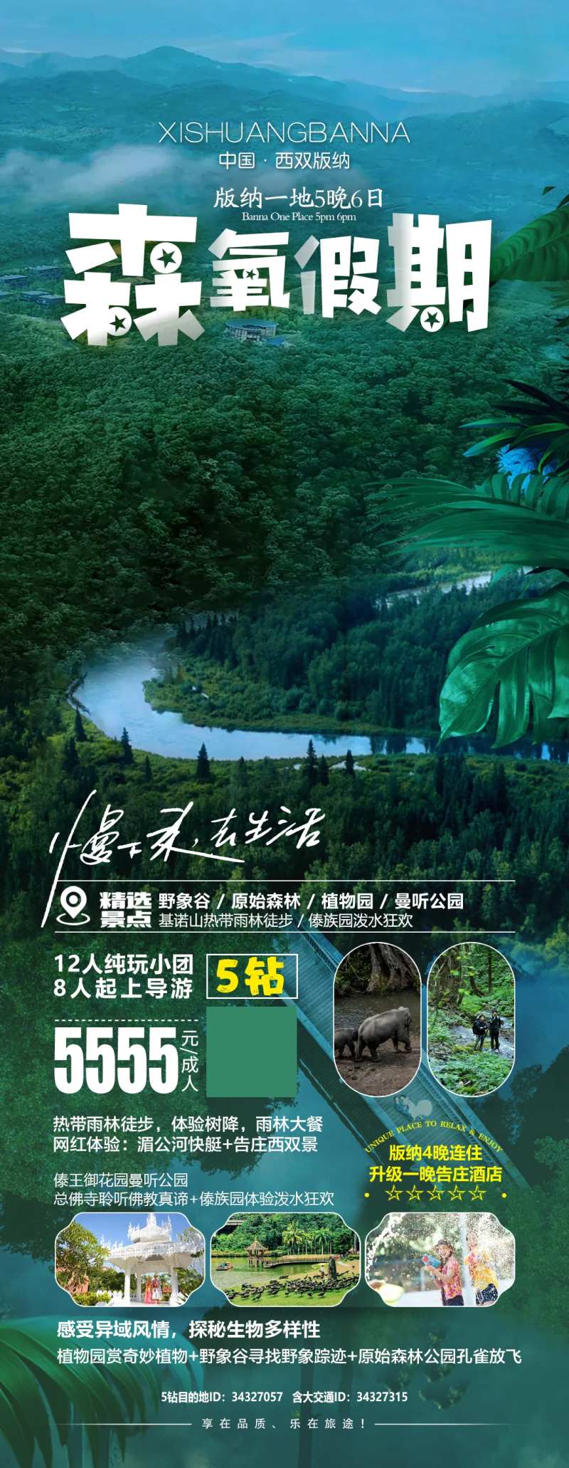 森氧假期版纳旅游海报-采灵感-cailinggan.com