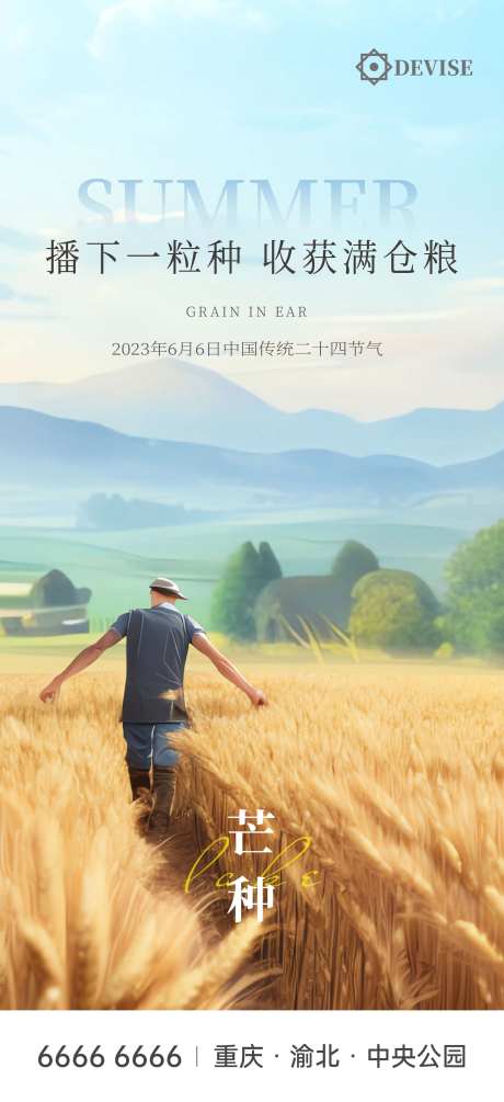 芒种麦田插画-采灵感-https://www.cailinggan.com/