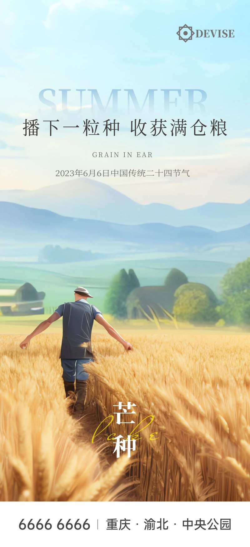 芒种麦田插画-采灵感-cailinggan.com