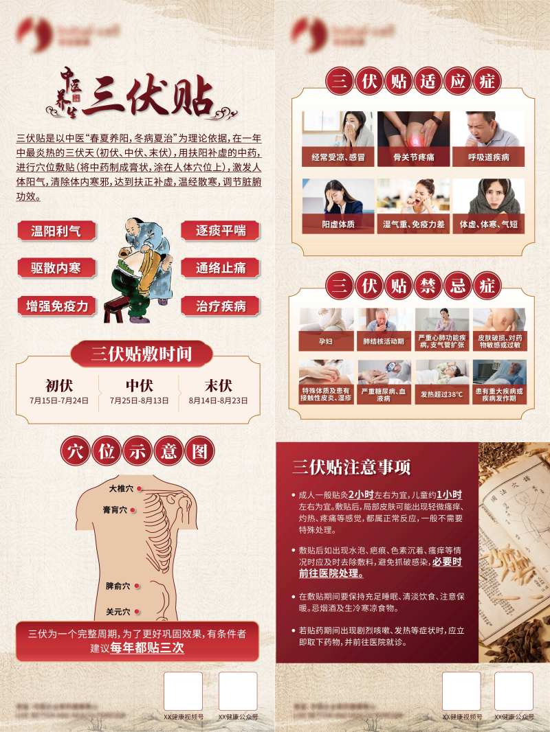 三伏贴科普展架-采灵感-cailinggan.com