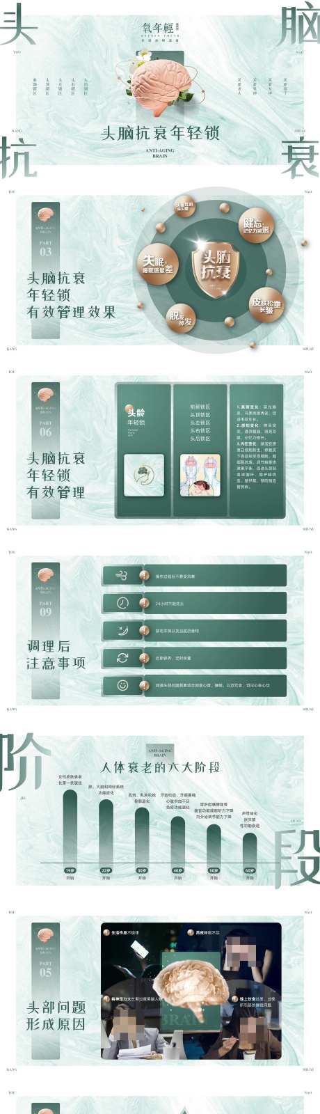 养生大脑抗衰PPT课件-采灵感-https://www.cailinggan.com/