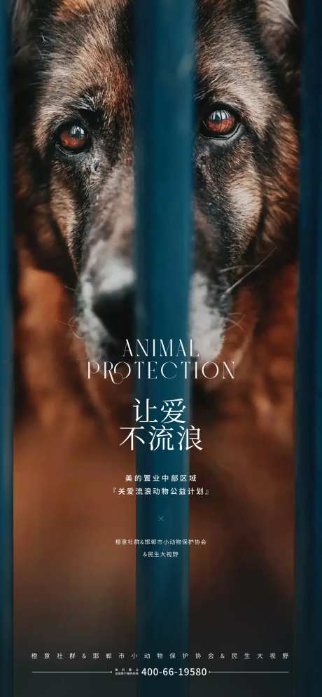 保护动物动物救助公益海报-采灵感-https://www.cailinggan.com/
