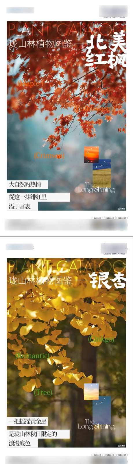 地产园林树木实景清新海报-采灵感-https://www.cailinggan.com/