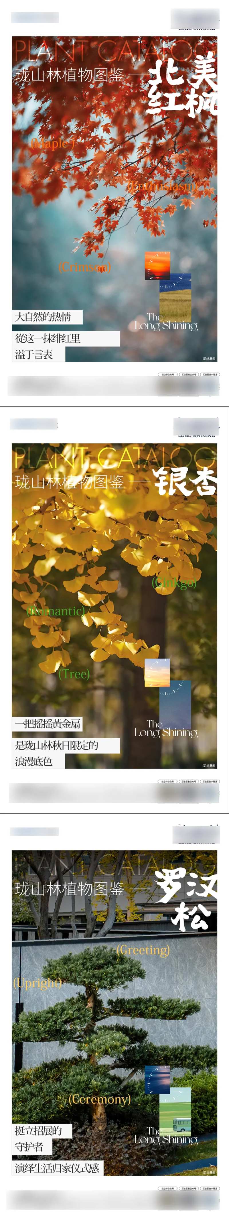 地产园林树木实景清新海报-采灵感-cailinggan.com