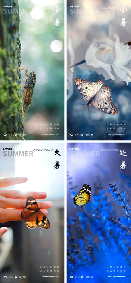 小暑大暑处暑蝉蝴蝶海报-采灵感-https://www.cailinggan.com/