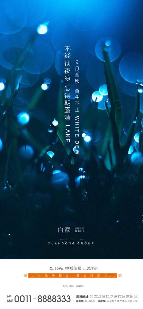 地产白露节气移动端海报-采灵感-https://www.cailinggan.com/