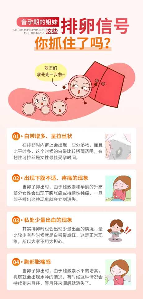 排卵信号科普海报-采灵感-https://www.cailinggan.com/