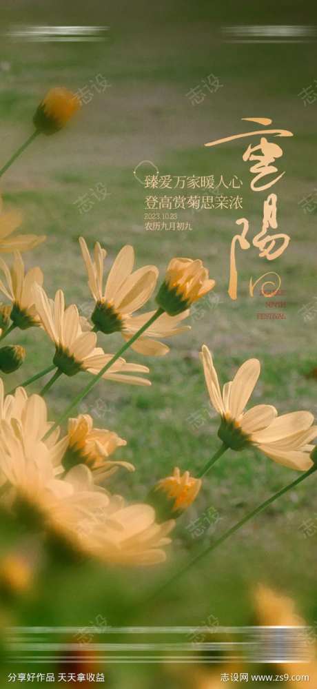 地产重阳敬老菊花清新海报-采灵感-https://www.cailinggan.com/