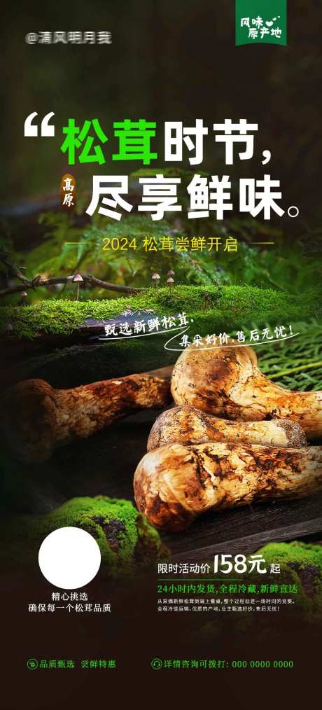 松茸尝鲜价-采灵感-https://www.cailinggan.com/