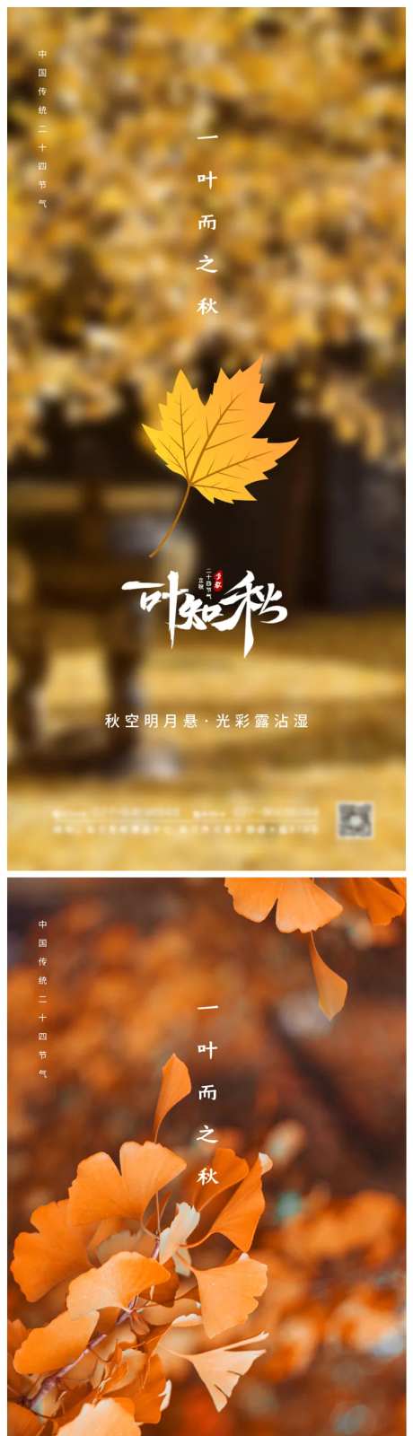 一叶知秋立秋节气海报-采灵感-https://www.cailinggan.com/