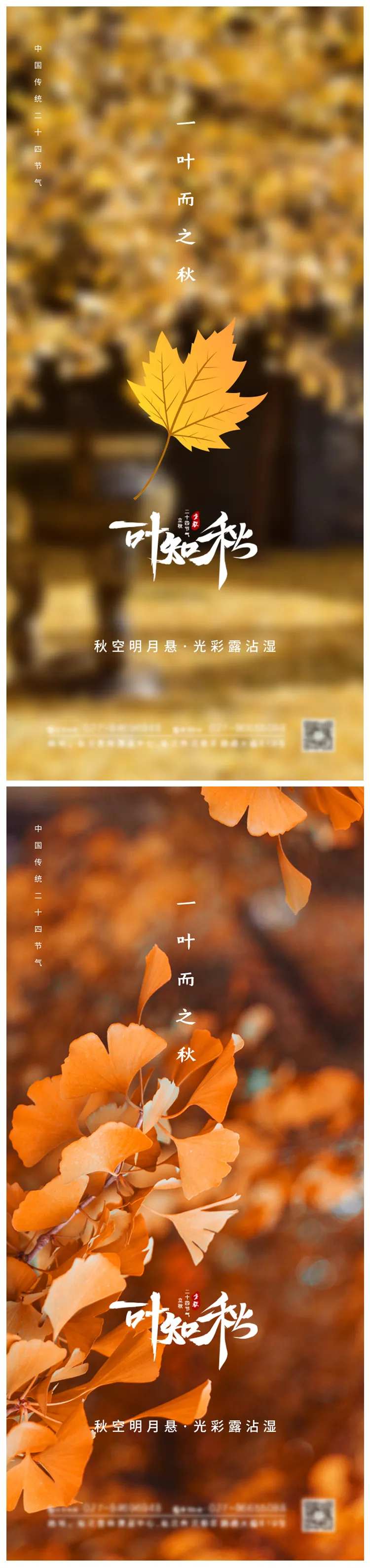 一叶知秋立秋节气海报-采灵感-cailinggan.com