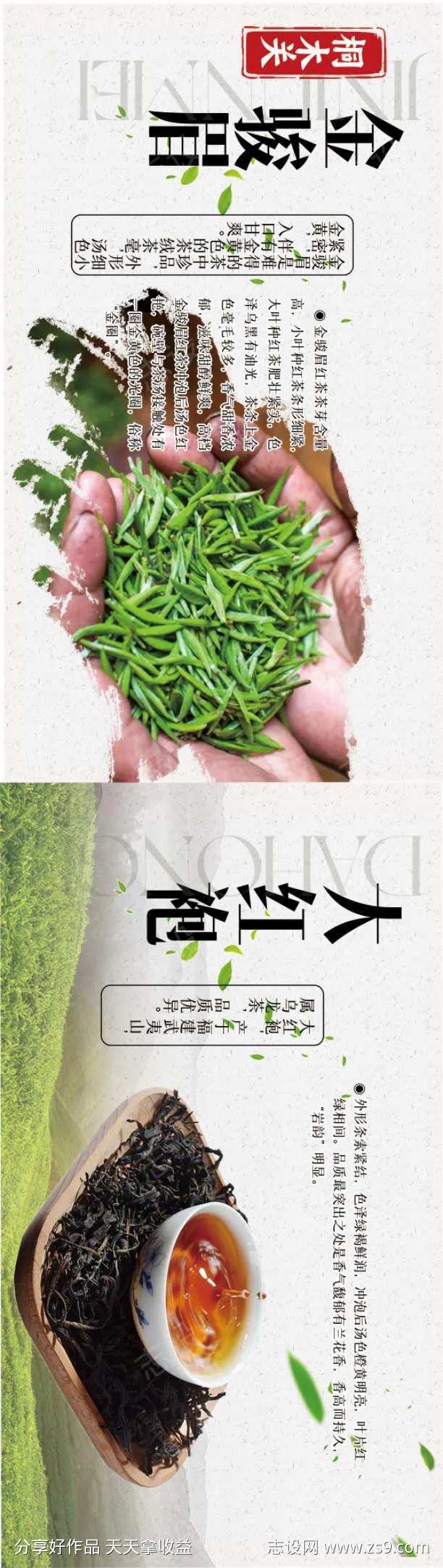 茶叶灯箱海报大红袍-采灵感-cailinggan.com
