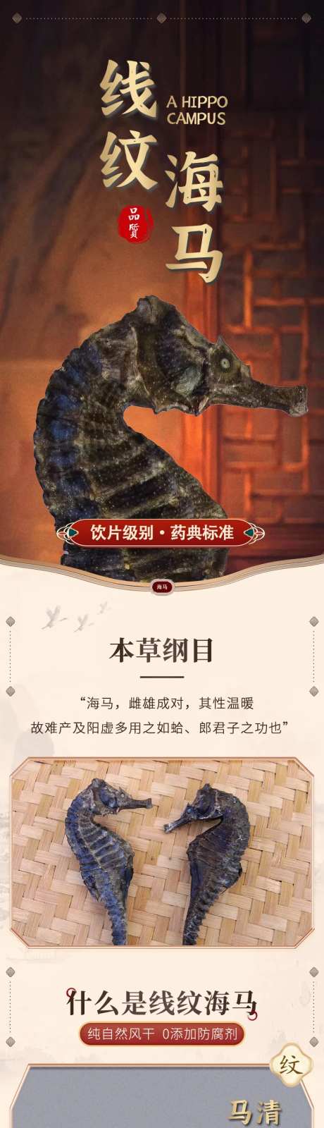 海马详情-采灵感-https://www.cailinggan.com/