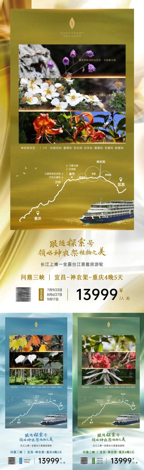 神农架看花活动系列海报-采灵感-https://www.cailinggan.com/