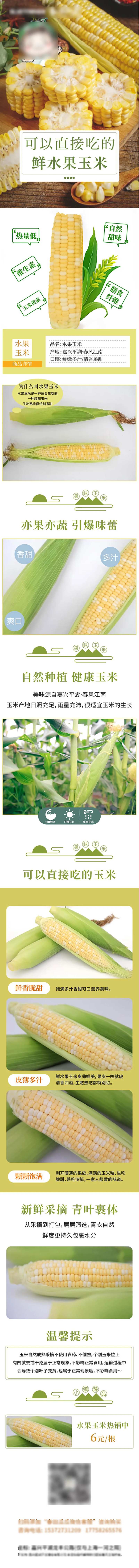玉米-采灵感-cailinggan.com