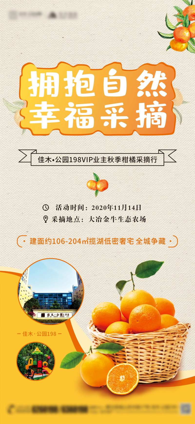 柑橘采摘海报-采灵感-cailinggan.com
