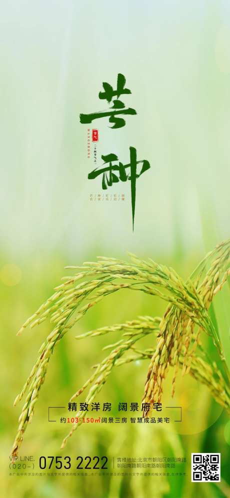 二十四节气芒种海报-采灵感-https://www.cailinggan.com/