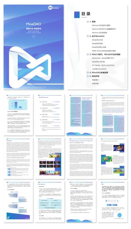 元宇宙生态投资白皮书（中/英）-采灵感-https://www.cailinggan.com/