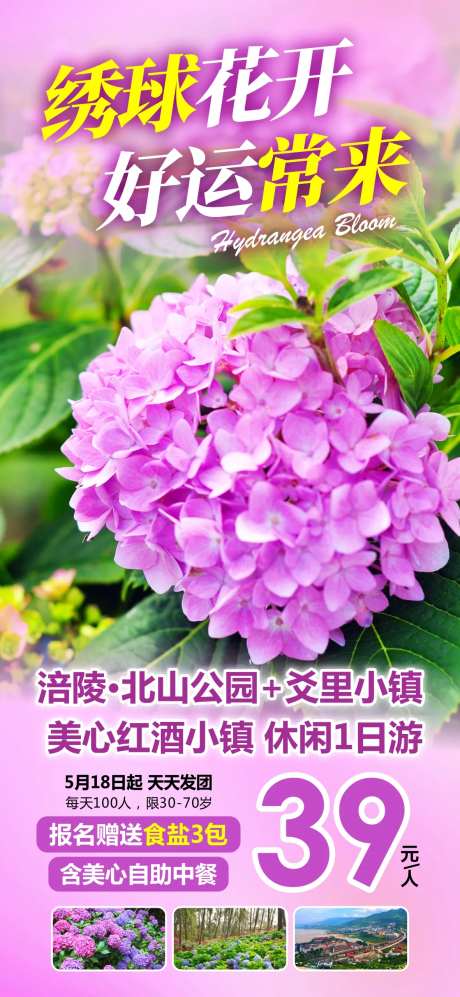 绣球花开旅游海报-采灵感-https://www.cailinggan.com/