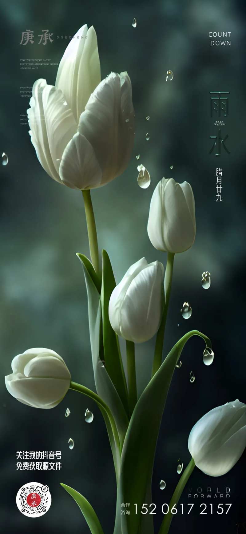 雨水花卉海报-采灵感-cailinggan.com