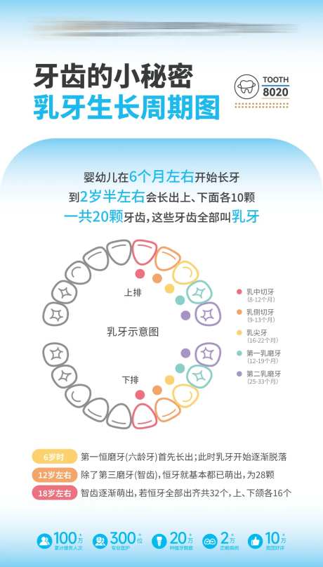 乳牙生长周期儿童口腔科普海报-采灵感-https://www.cailinggan.com/