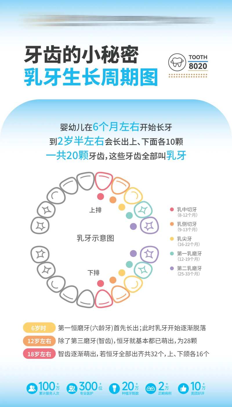 乳牙生长周期儿童口腔科普海报-采灵感-cailinggan.com