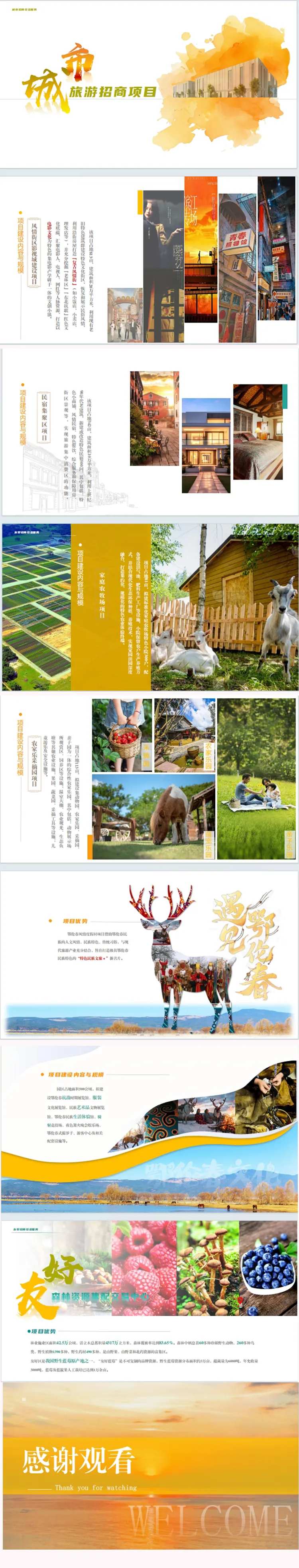 文旅项目招商PPT-采灵感-cailinggan.com
